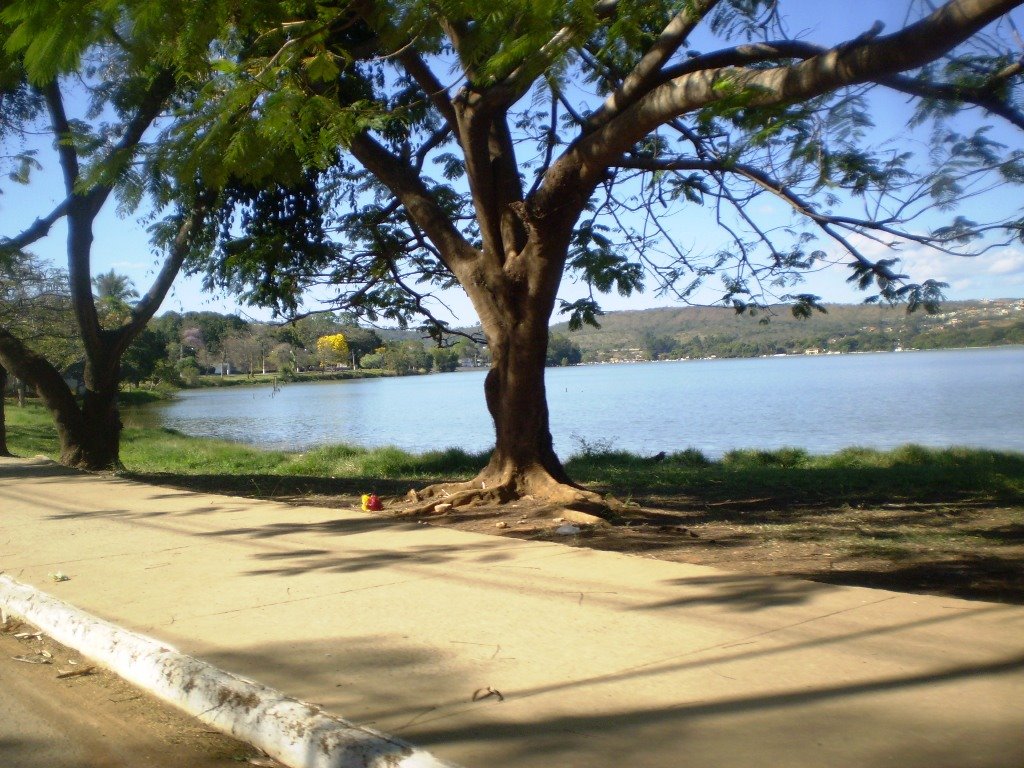 Av. Getúlio Vargas -Lagoa Santa-MG by Odilson Sá