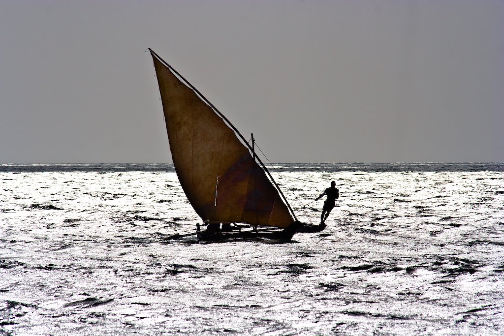 Dhow on the Indian Ocean by alche