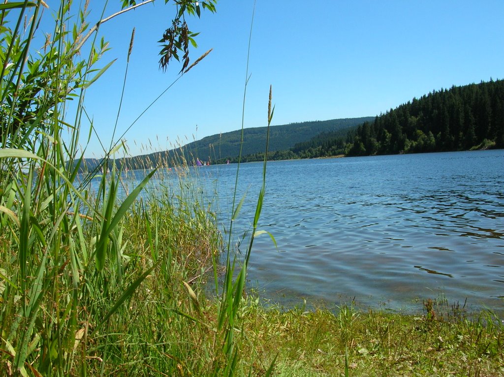 Schluchsee by skeletti