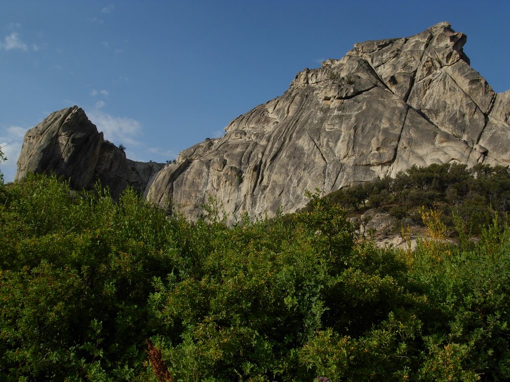 South of Harrison Pass by wgerman