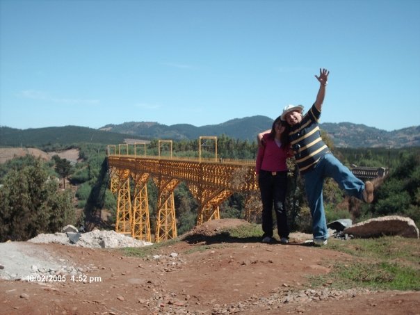 Viaducto Malleco Chile by Sergio Barra