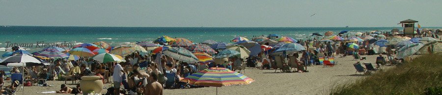 Hollywood Beach, Hollywood, FL 33019, USA by klevenskiy