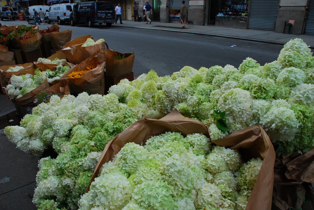 Flower District, West 28th Street by Daniel Massey