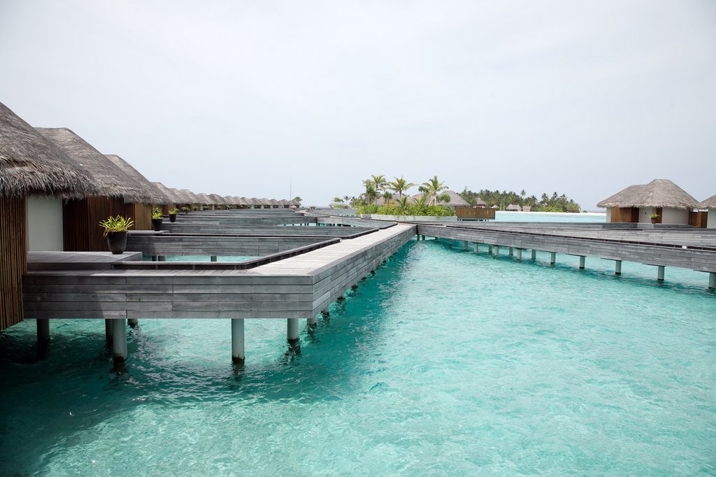 W Retreat & Spa - Maldives by Alexey Shcherbinin