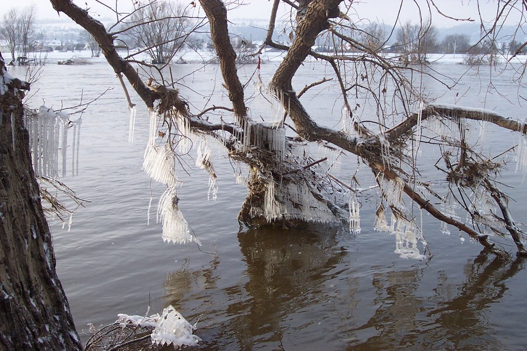 Eiszapfen durch Hochwasser by Frank Pustlauck