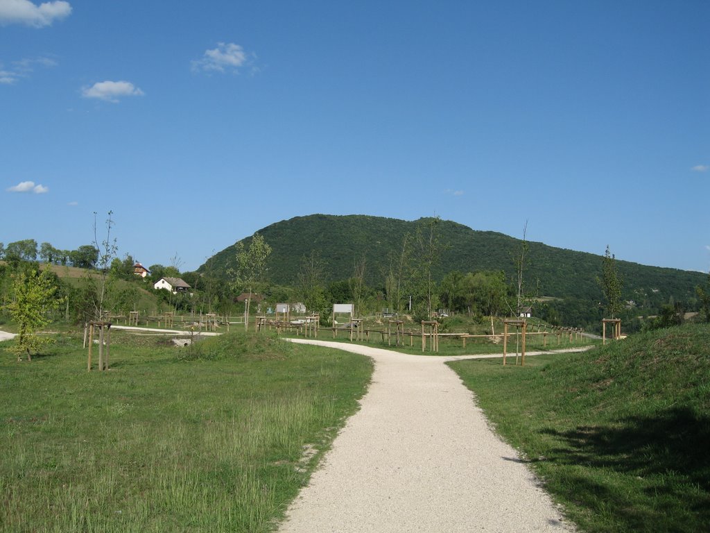 Plateau de la Sainte by Alexandre ROSE