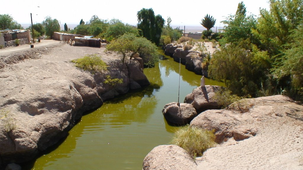 Toconao in der Atacama by cilento