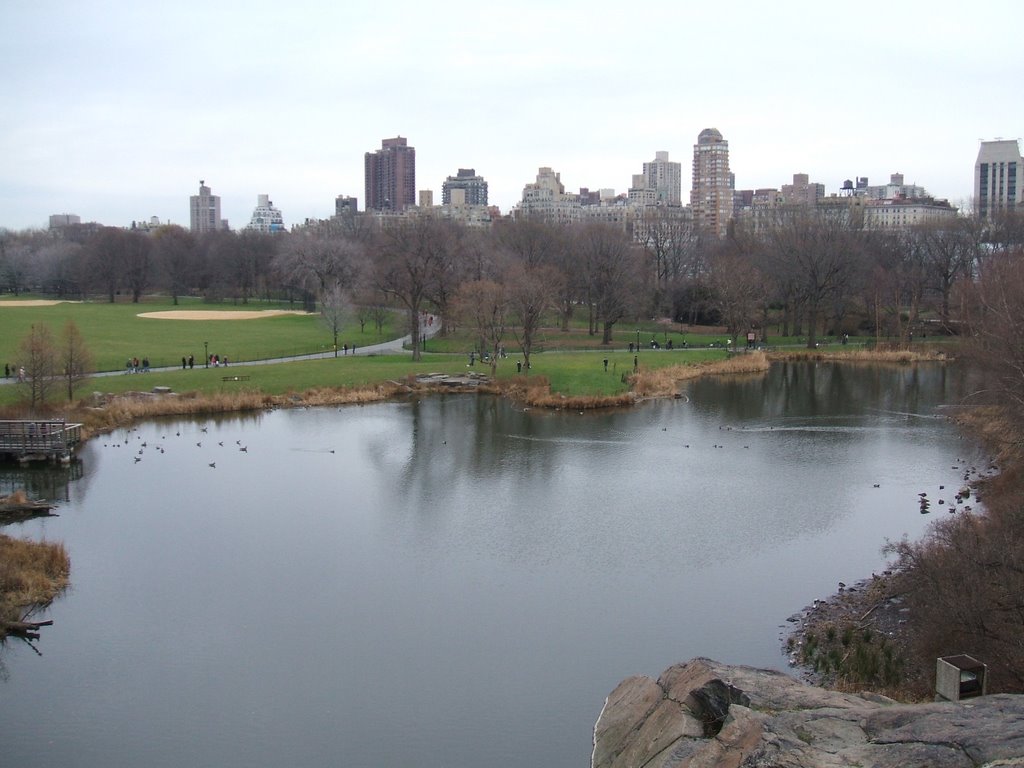 New York City - Manhattan - Central Park by Jérôme B.