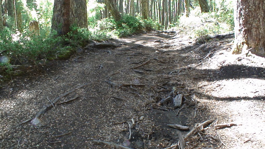 Strasse am Hang des Vulkans Villarrica by cilento