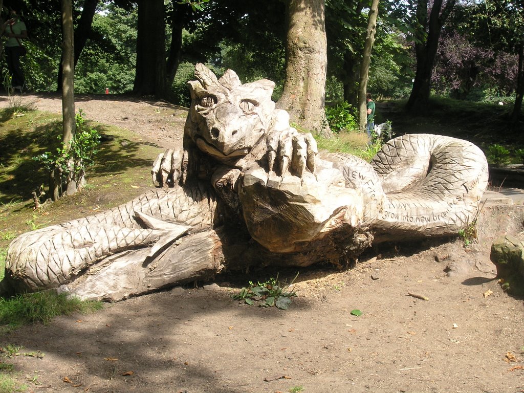 Friendly Dragon by southbankroad