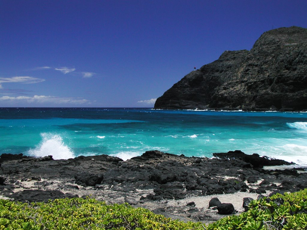 Makapu‘u Beach Park with Makupuu Lighthouse by fbfrye