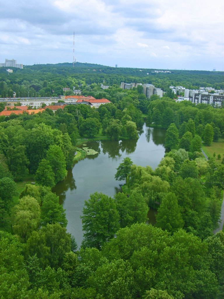 Der Teich im Park von oben by tumblr.tk