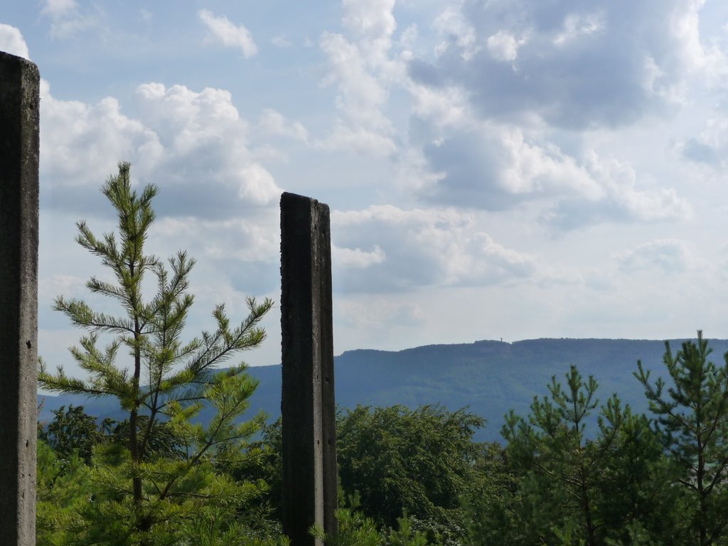 Vergessene Betonpfosten des Metallgitterzauns; im HIntergrund der Turm der Einheit auf dem Heldrastein www.heldrastein.de by bsabarny