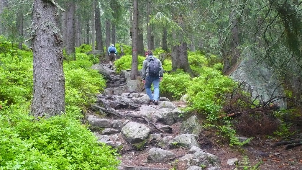 Vysoké Tatry, Slovakia by novak_tom