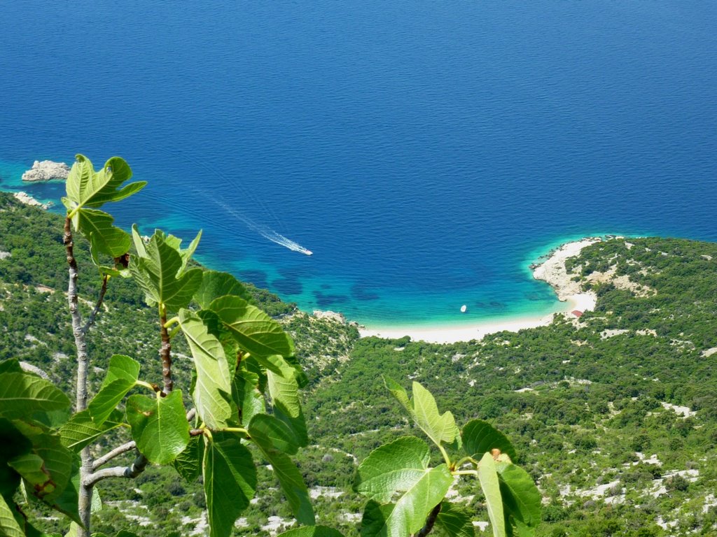 Looking down to the sea from Lubenice by thor☼odin™