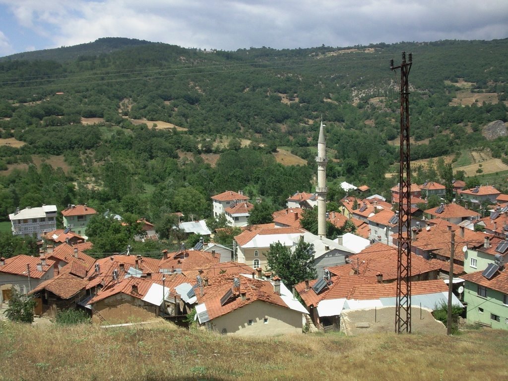 16740 Baraklı/Keles/Bursa, Turkey by alicavdar