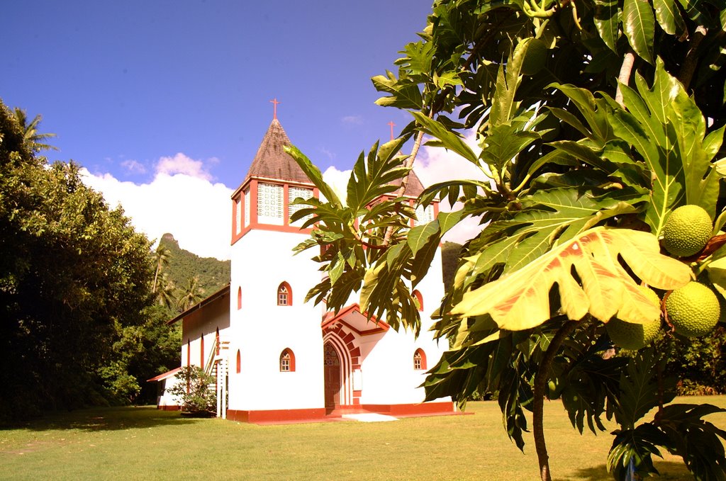 Breadfruit tree at Church in Haapiti by Ed Schuster