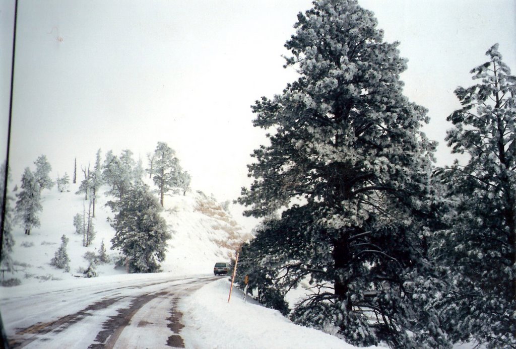 Bryce Canyon National Park. by C haydeé