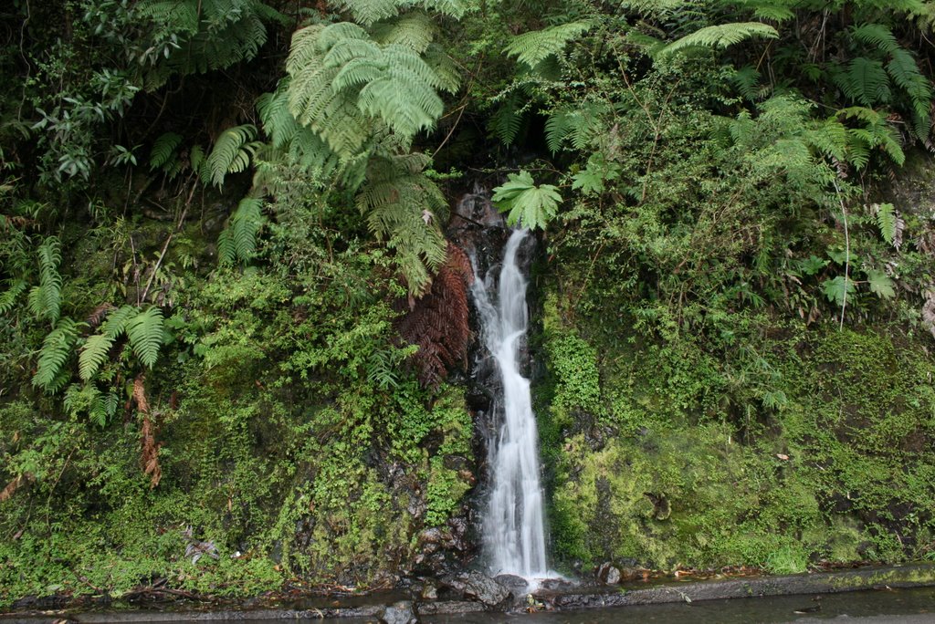 Bella cascada a orillas del camino. by Octavio Aldea