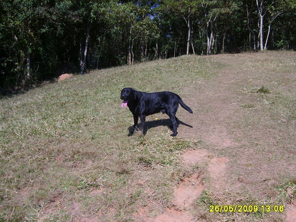 Scott na área de salto de para-pente by JulianoHenrik