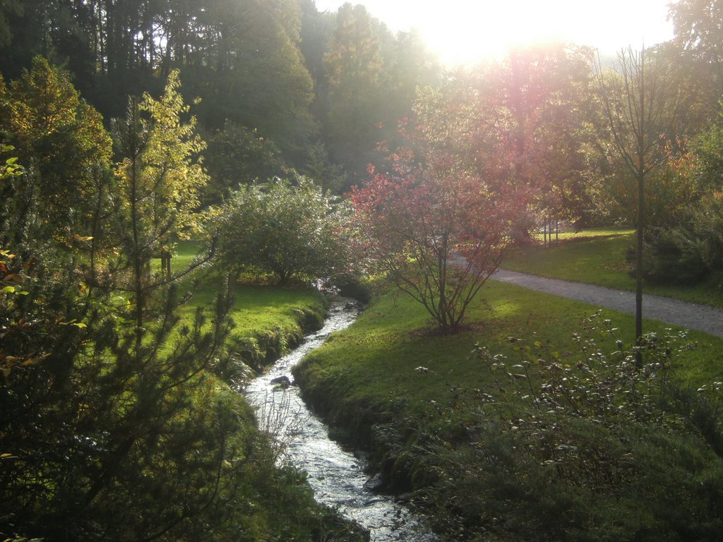 Spa garden Gernsbacher Kurpark, Gernsbach by Trintignant