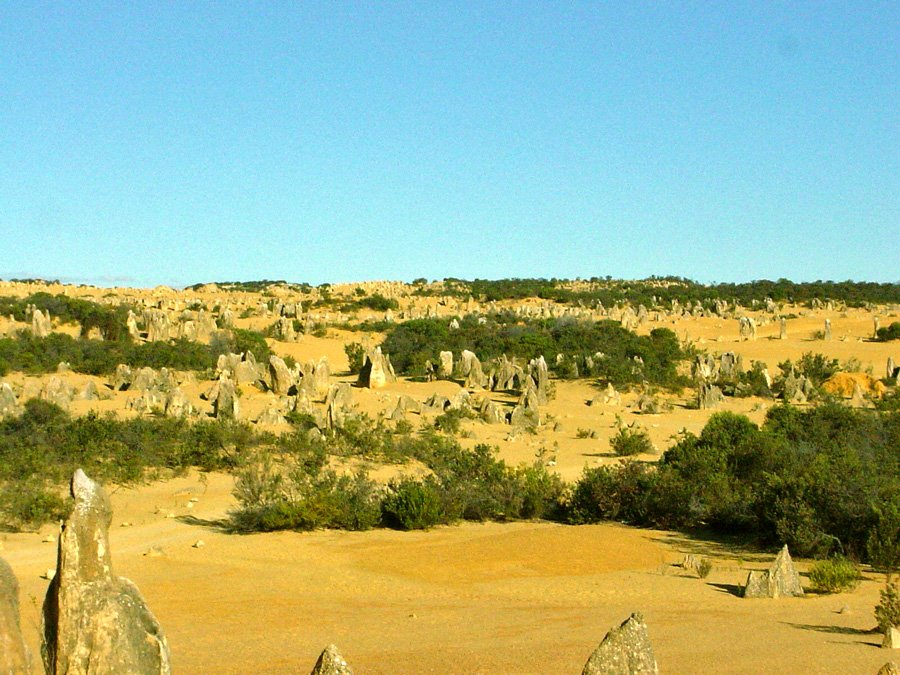 West Australia Pinnacles Desert by cinsa