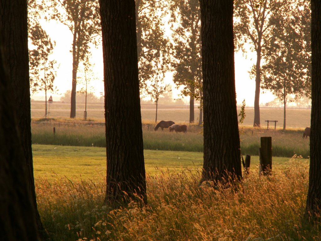 Venedijk noord by joopvandijk