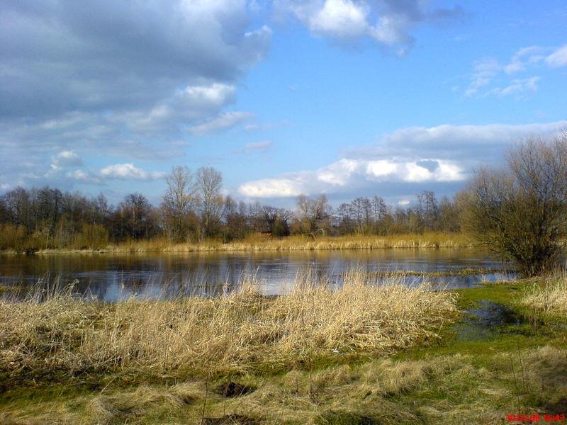 Lubiel Nowy, widok na Narew wiosną by Mada N.