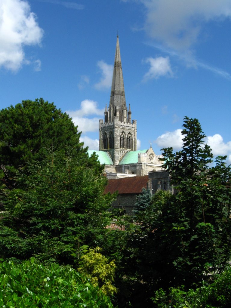 Chichester Cathedral from the Bishop's gardens by jayembee1969