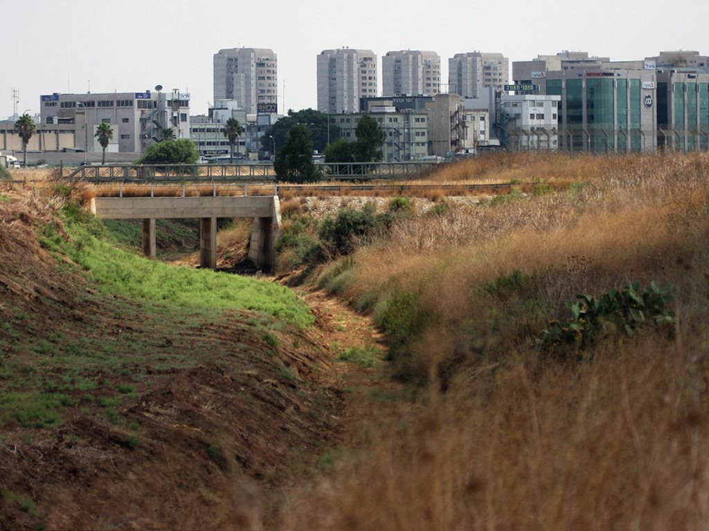 Beit Arif Stream by CarmelH