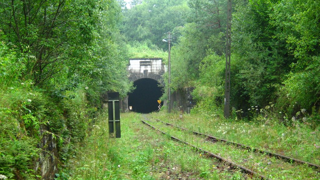 Tunel kolejowy Łupków - Medzilaborce by sabol72