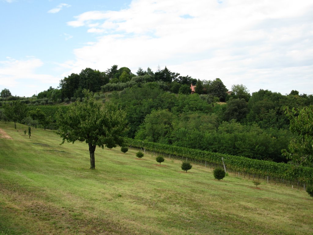 35037 Teolo, Province of Padua, Italy by Federico Beria