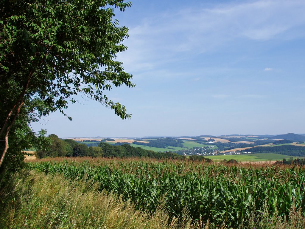 Blick auf Lichtenberg by fly2bfree