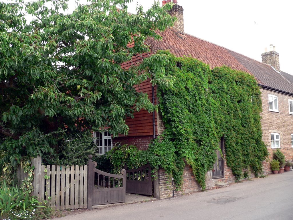 28 Trooper Road, Aldbury, Hertfordshire by Frank Warner