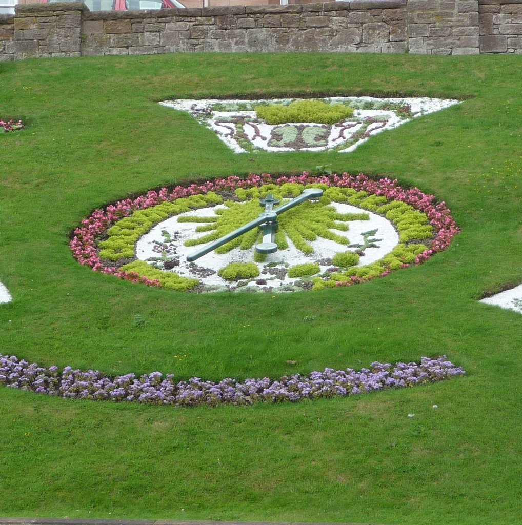 Flower watch in Inverness by Immanuel Giel