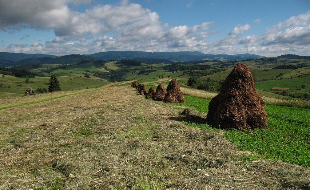 Pokryváč, Úboč by dusan majcin