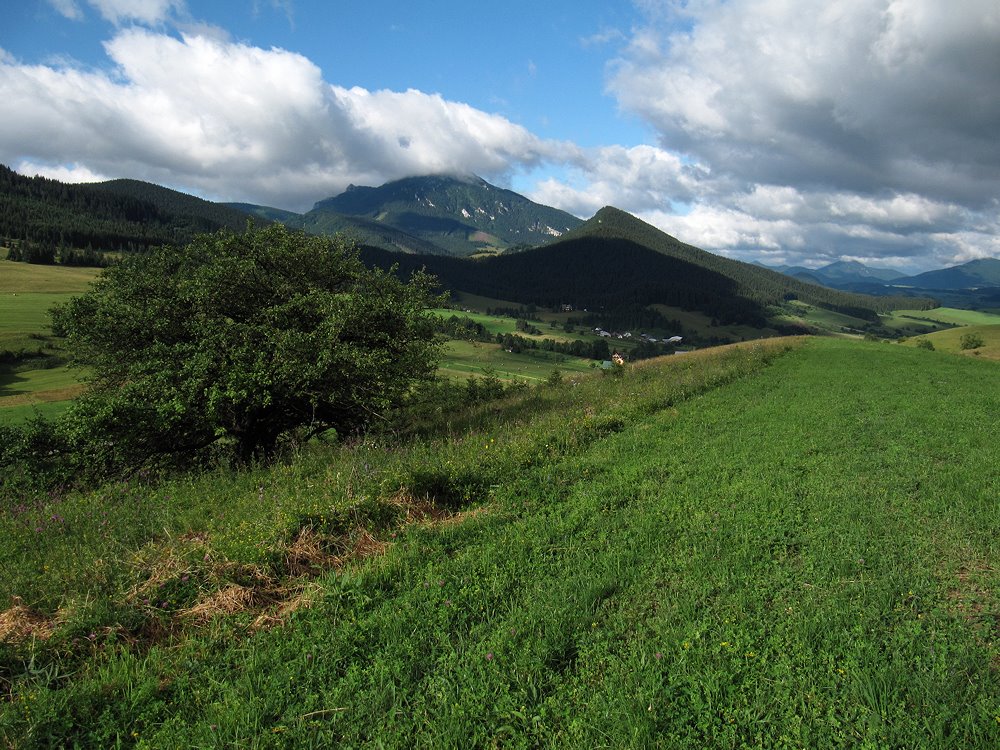 Pokryváč, pohľad na Veľký Choč a Stožok by dusan majcin