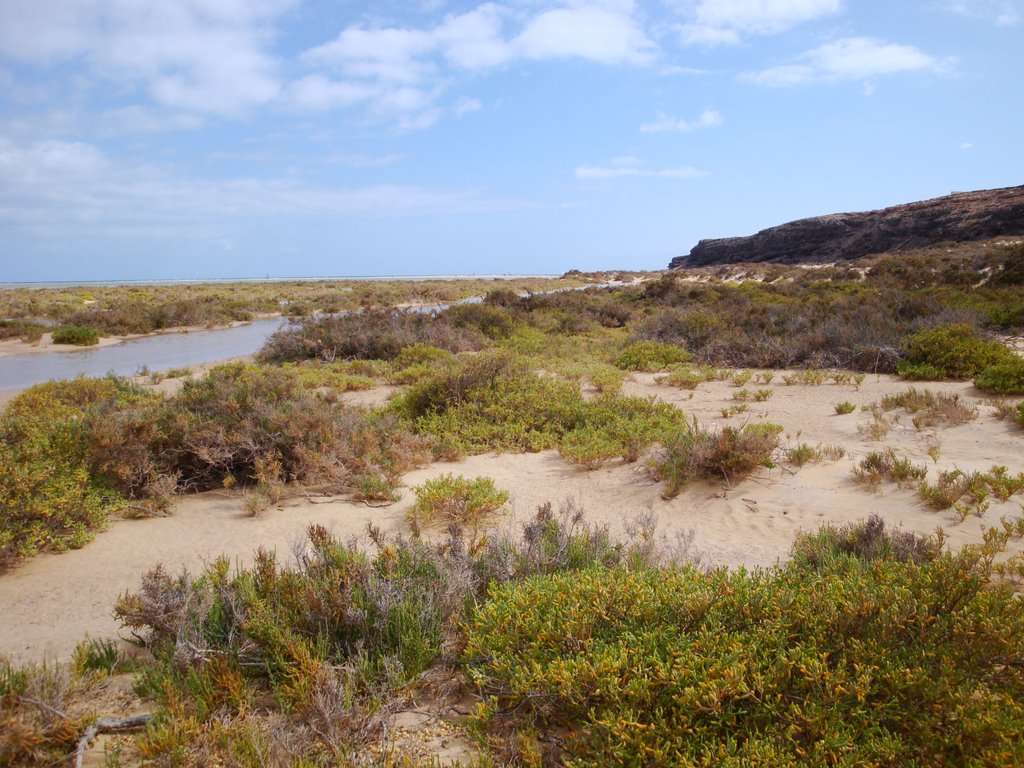 Plage de Sotavento, Fuerteventura Aout 2009 by ITAK95