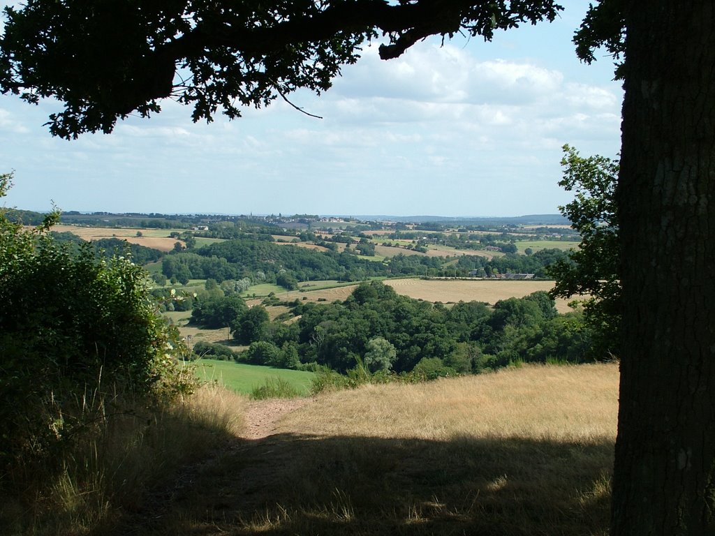 Hills above St Leonard by Gary Peak