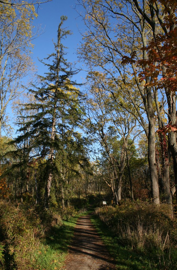 Short Hills near Roland Rd. by KathyT