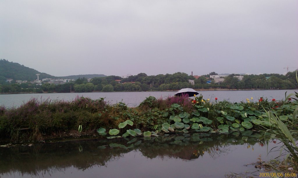 Hongshan, Wuhan, Hubei, China by lefty6688