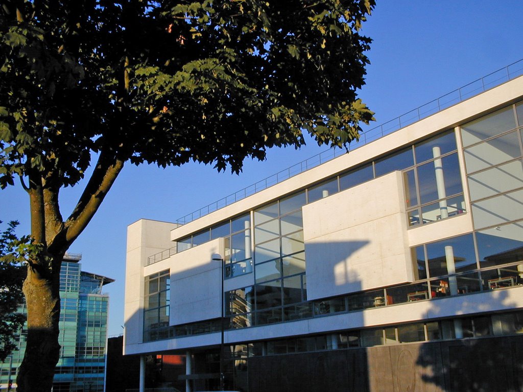 Bibliothèque Universitaire by yann78