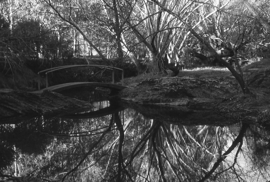 Darebin Creek by pjon