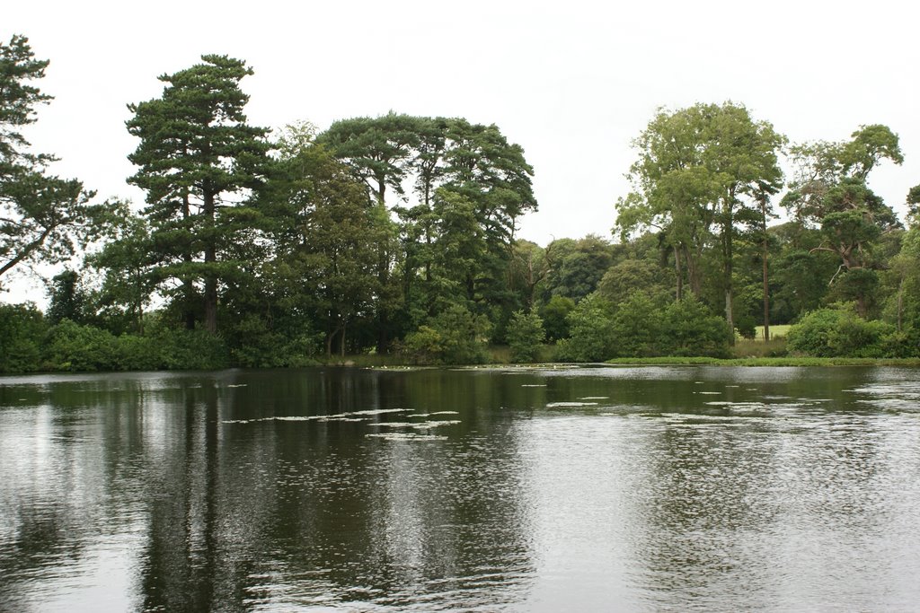 Terry's Lake by John Mulder