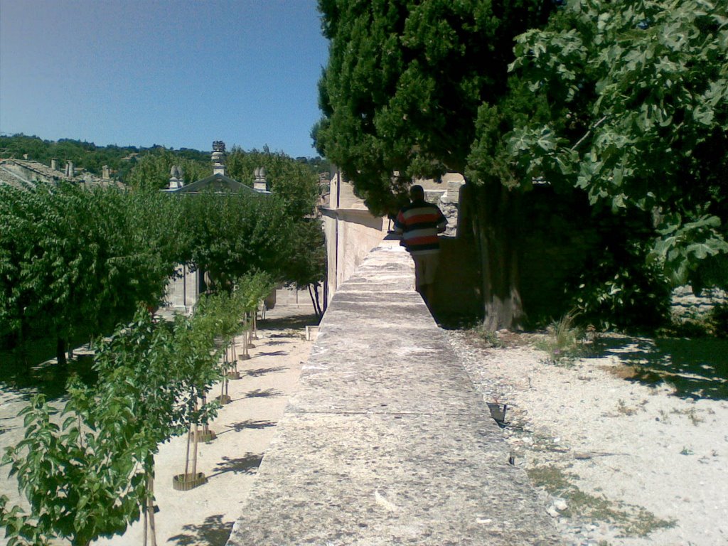 Villeneuve-lès-Avignon, France by vonins