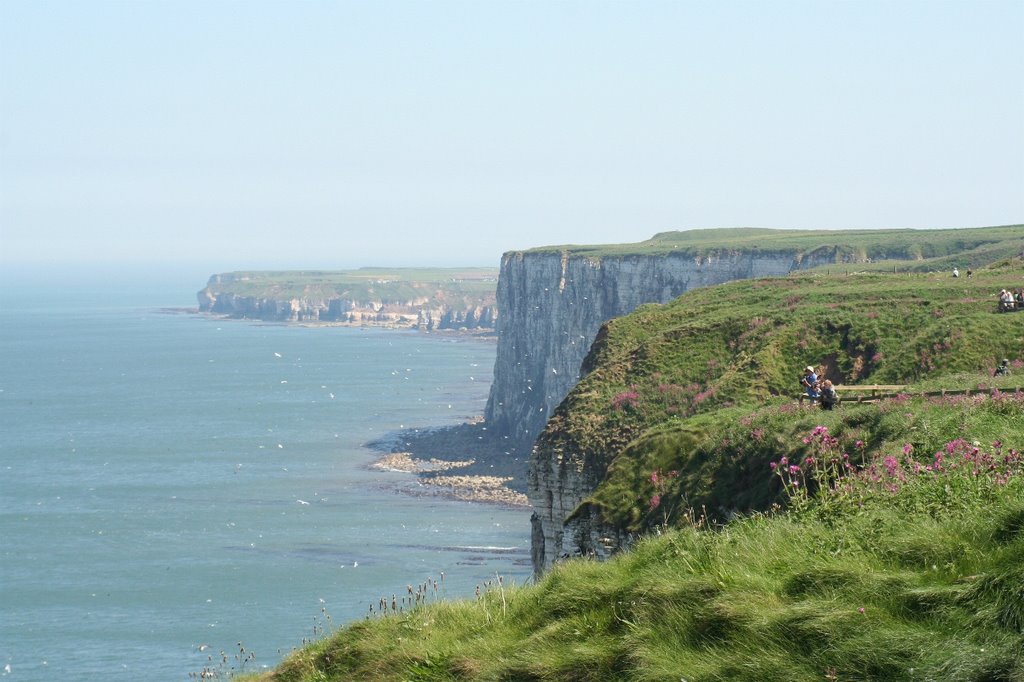 Bempton Cliffs 09 by Phill Burton