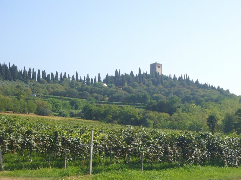 Rocca di Solferino by Steve Palazzi