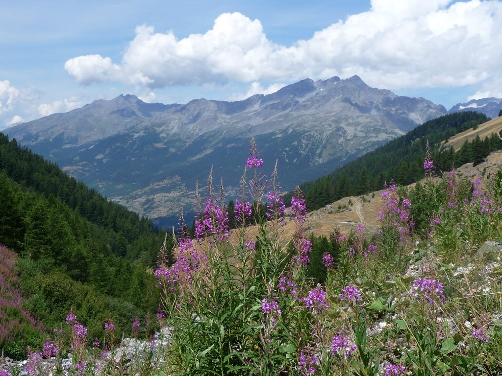 Vallée de Val Fréjus depuis le Seuil, 1954 mt, à Modane. by J.Hache