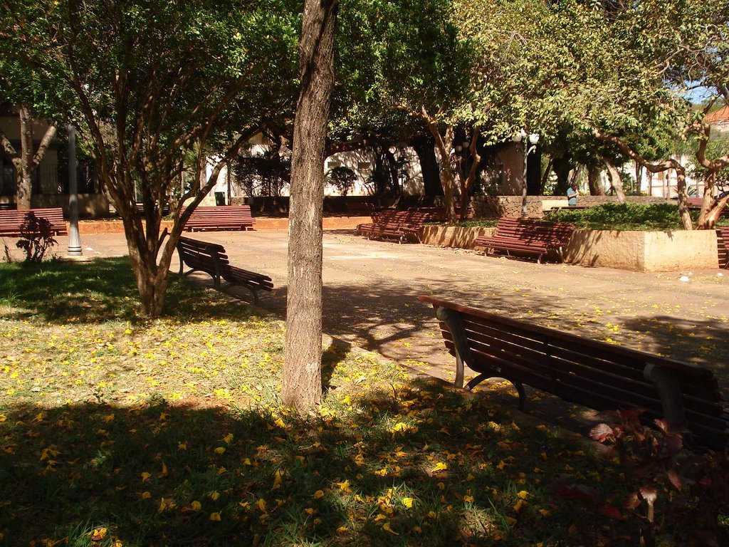 Árvores do calçadão de Araras II by LpsPps