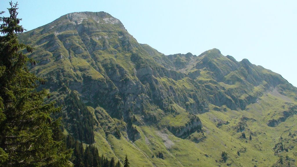 Le Roc d'Enfer depuis le col de Graydon by jsvillegas